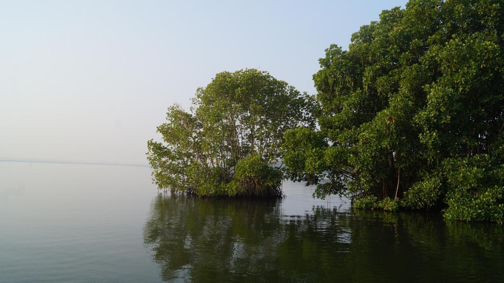 Blue Lake Villa Kollam Exterior photo